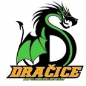 HC Dračice logo